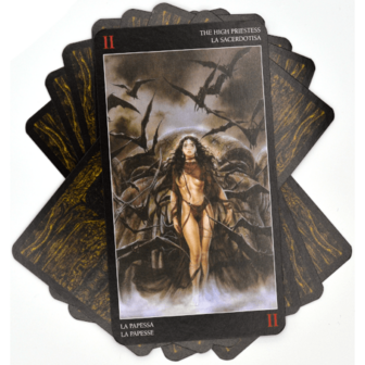 Royo dark tarot kaarten 