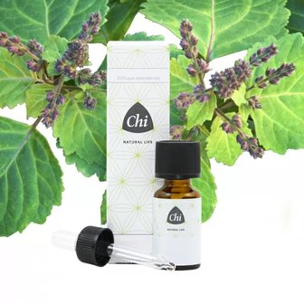 patchouli etherische olie chi