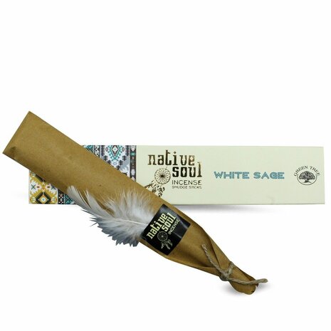 native soul white sage wierook